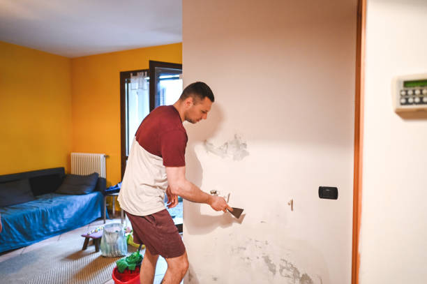 Best Water Damage Restoration  in Lido Beach, NY